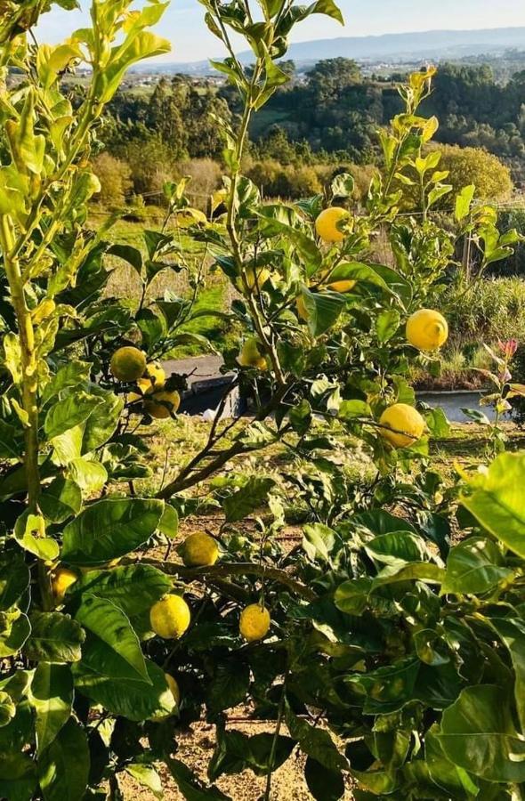 Cecile'S Villa Casal do Pardo 外观 照片